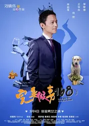 Cô Vợ Giả Hoàn Hảo | Cô Vợ Giả Hoàn Hảo (2014)