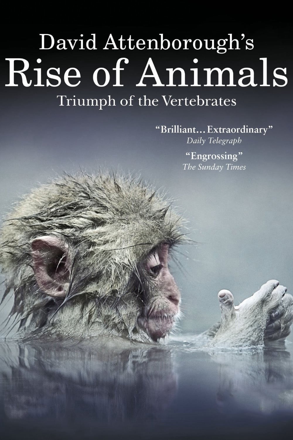 David Attenborough's Rise of Animals: Triumph of the Vertebrates | David Attenborough's Rise of Animals: Triumph of the Vertebrates (2013)