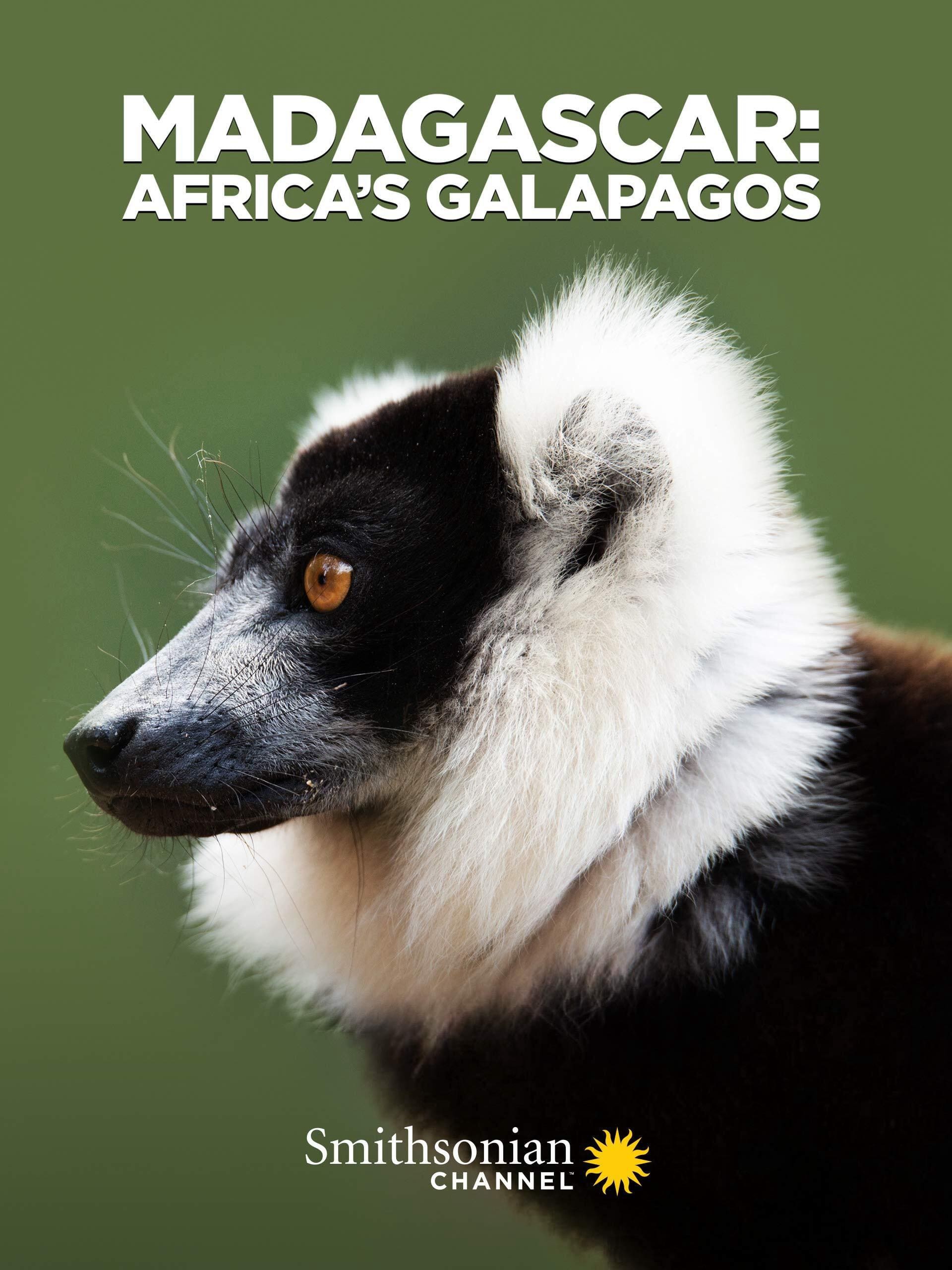 Madagascar: Africa's Galapagos | Madagascar: Africa's Galapagos (2019)