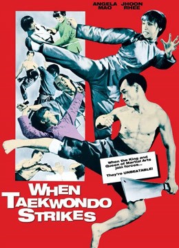 Taekwondo  Chấn Cửu Châu | Taekwondo  Chấn Cửu Châu (1973)