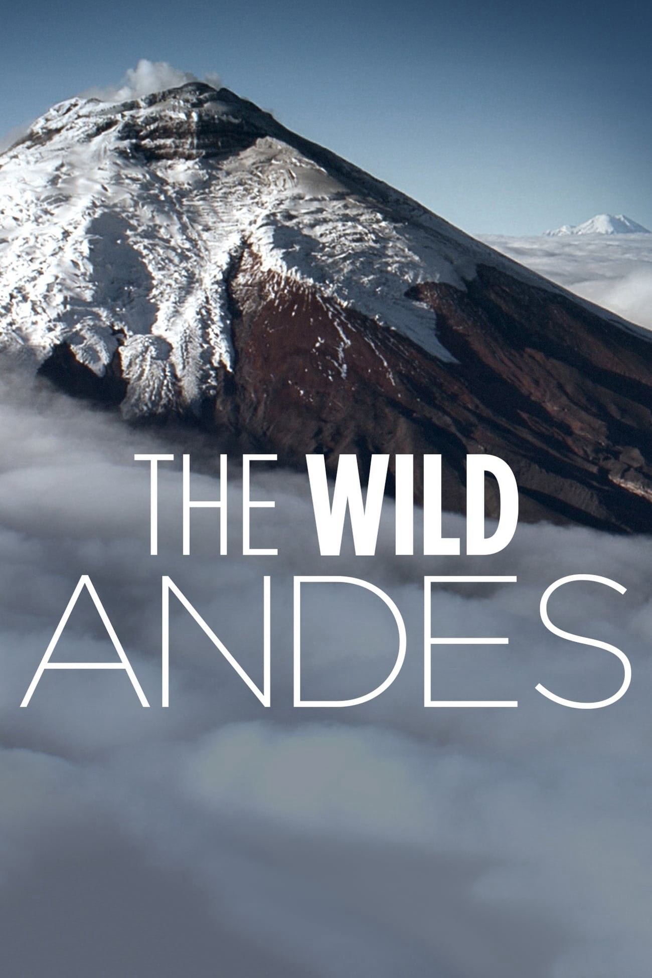 The Wild Andes | The Wild Andes (2018)